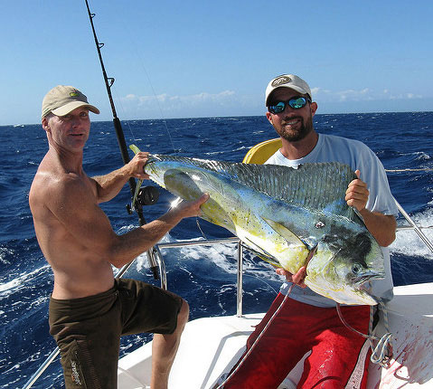 Giant Mahi Mahi Catch in the Bahamas